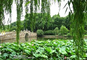 Quentin- Hangzhou 011